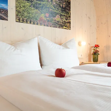 فندق Bergamo Modern & Zentral In 24h Check In 3 Min Zum Schloss Nachhaltiges In Holzbauweise 3*