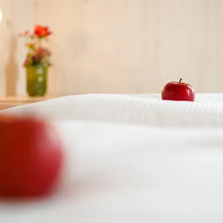 فندق Bergamo Modern & Zentral In 24h Check In 3 Min Zum Schloss Nachhaltiges In Holzbauweise لودفيغسبرغ